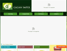 Tablet Screenshot of gaganimpex.com